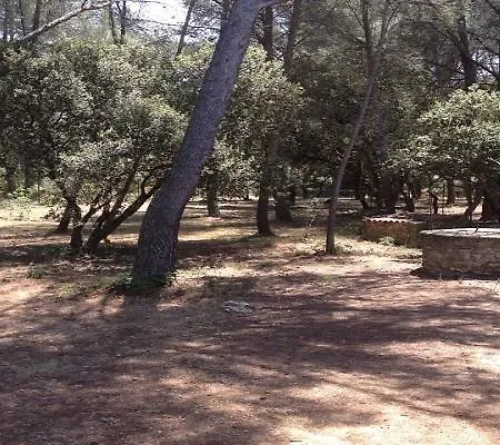 Le Domaine D'alezen