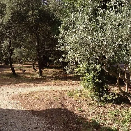 Le Domaine D'alezen * Grans